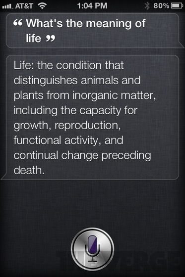 Weird Siri Response #34